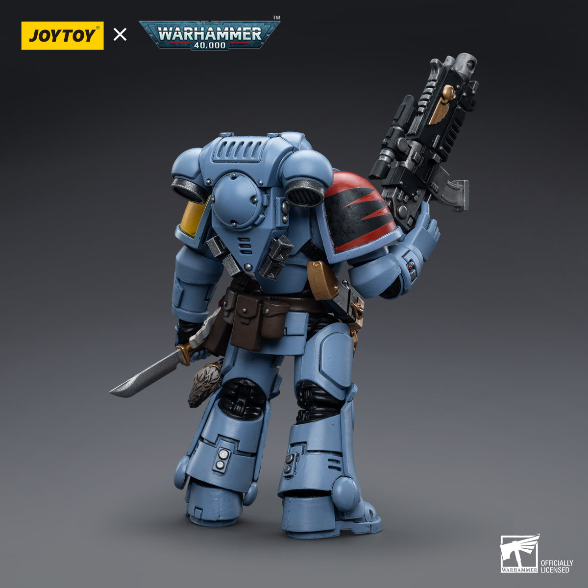 Warhammer Collectibles 1/18 Scale Space Wolves Intercessors