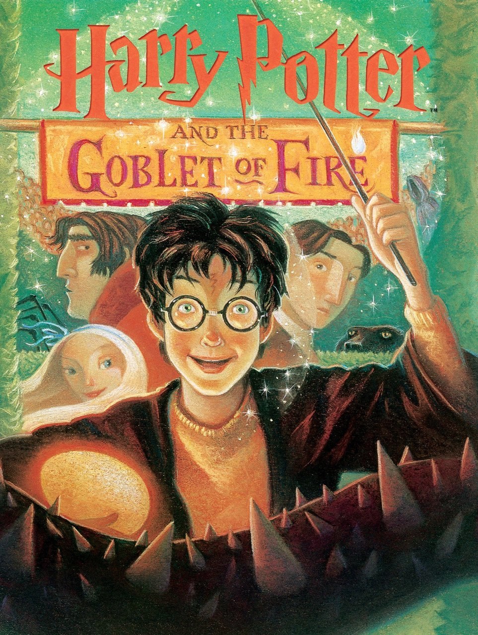 Harry Potter Puzzle Goblet of Fire 1000 Piece Jigsaw