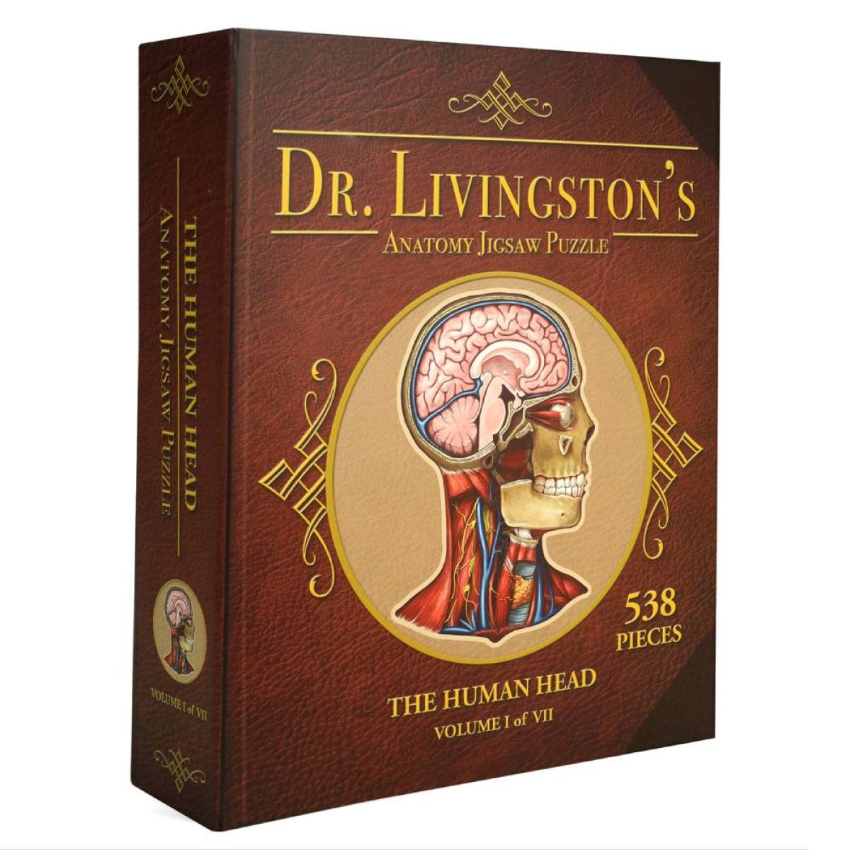 Dr Livingston Anatomy Jigsaw Puzzle The Human Head 538 Pieces