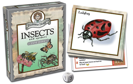 Professor Noggins Insects &amp; Spiders