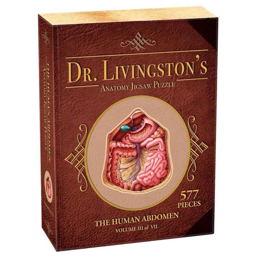 Dr Livingston Anatomy Jigsaw Puzzle The Human Abdomen 577 Pieces