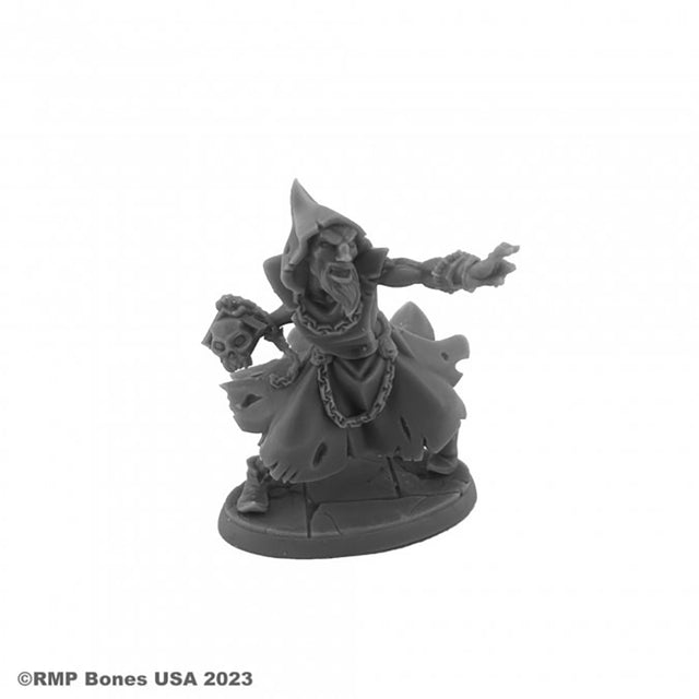 Reaper Hyborian Wizard