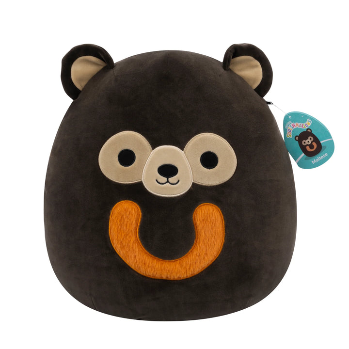 Squishmallows 14 inch Master Assorted A