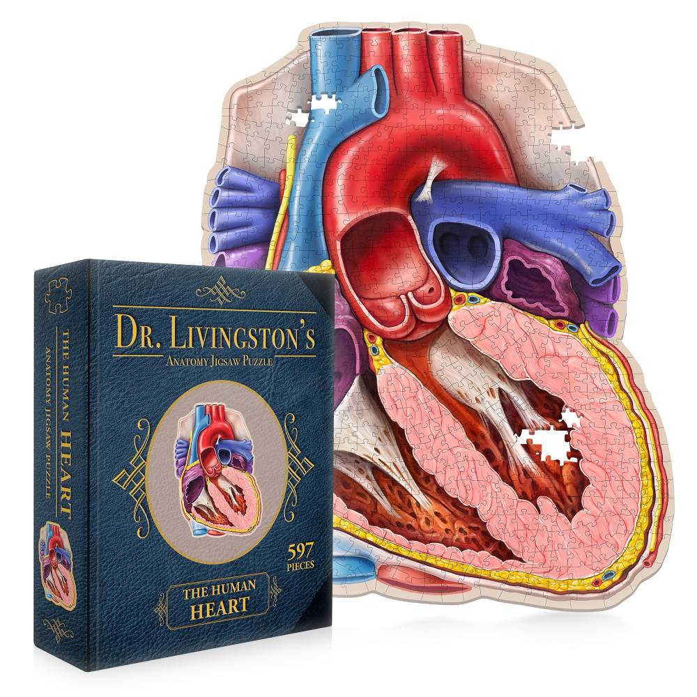 Dr. Livingstons Anatomy Jigsaw Puzzle: The Human Heart (Preorder)