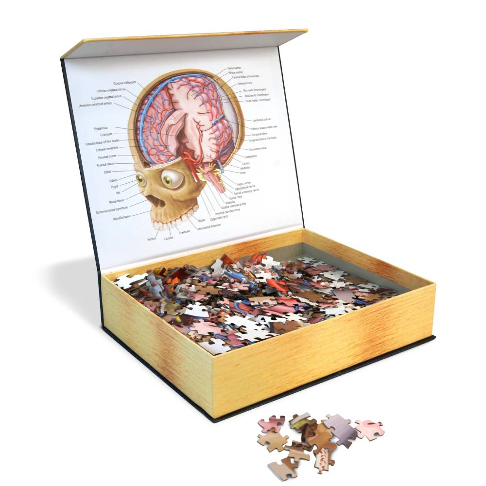 Dr. Livingstons Anatomy Jigsaw Puzzle: The Human Brain