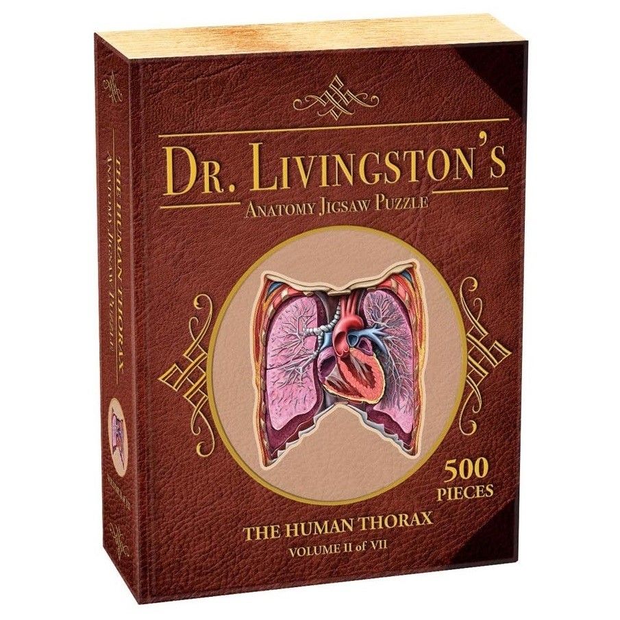 Dr Livingston Anatomy Jigsaw Puzzle The Human Thorax 500 Pieces