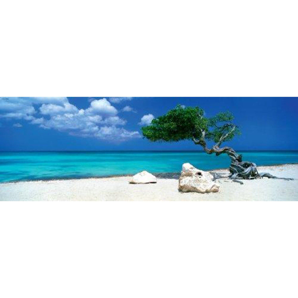 Heye - Panorama - Divi Divi Tree 1000 Piece Jigsaw