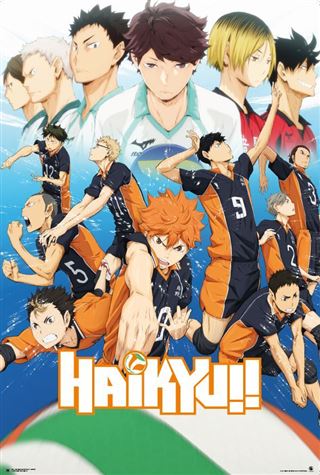 Haikyu - Karasuno Team Poster