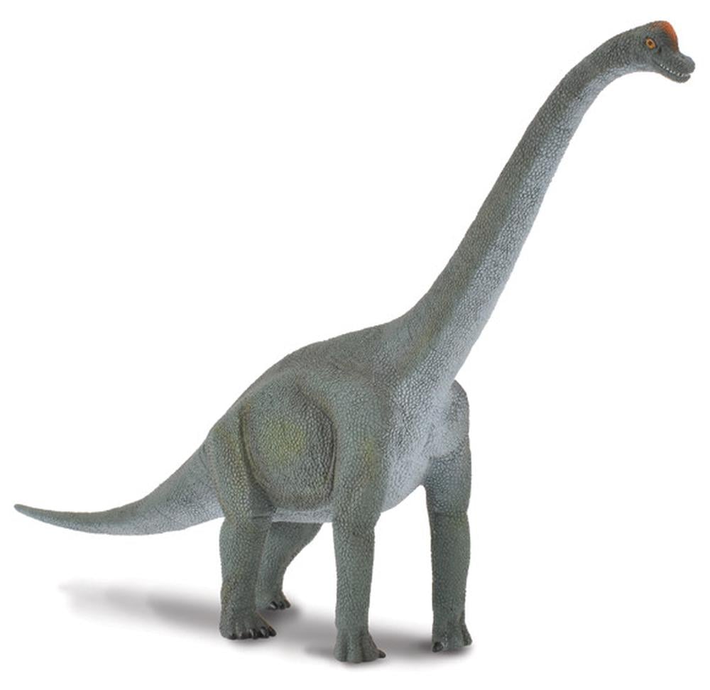 Collecta Brachiosaurus (L)