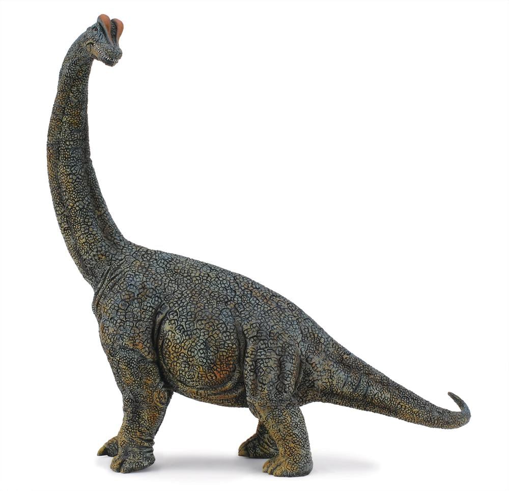 Collecta Brachiosaurus (Dlx)