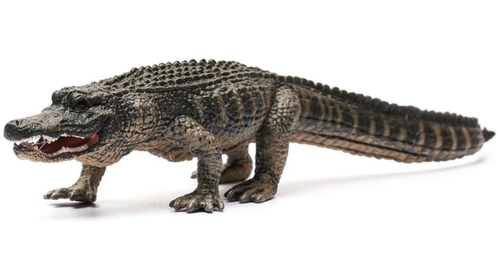 Collecta American Alligator - L