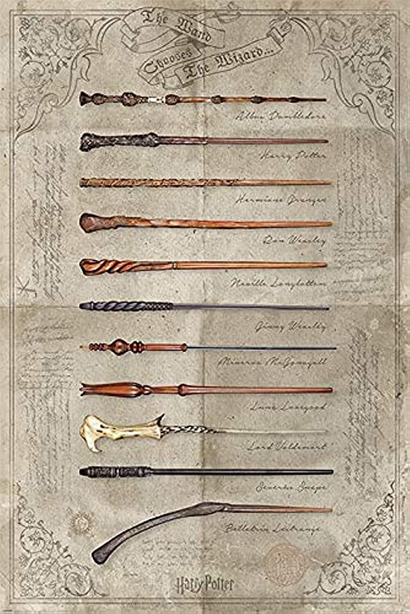 Harry Potter - The Wand Chooses You Poster