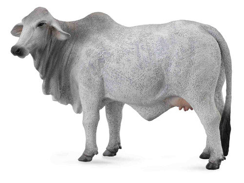 Collecta Brahman Cow Grey (L)