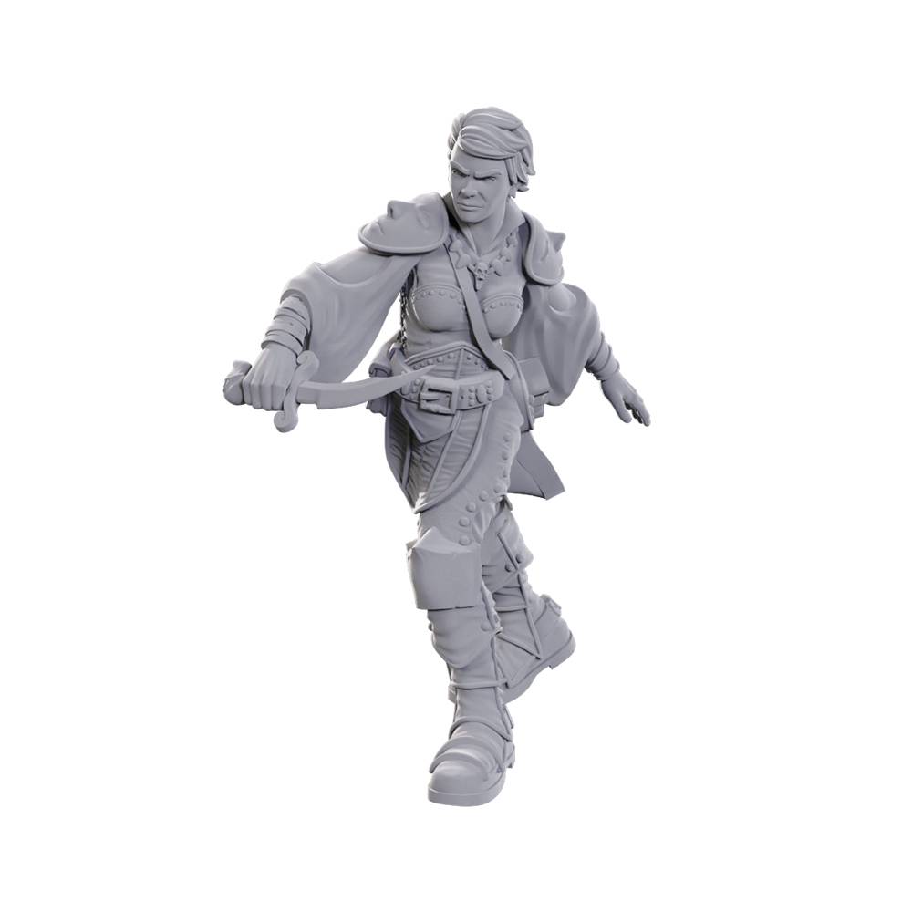 Dungeons &amp; Dragons Nolzurs Marvelous Miniatures: Swashbuckler (Preorder)