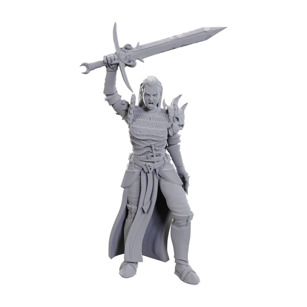 Dungeons &amp; Dragons Nolzurs Marvelous Miniatures: Blackguard (Preorder)