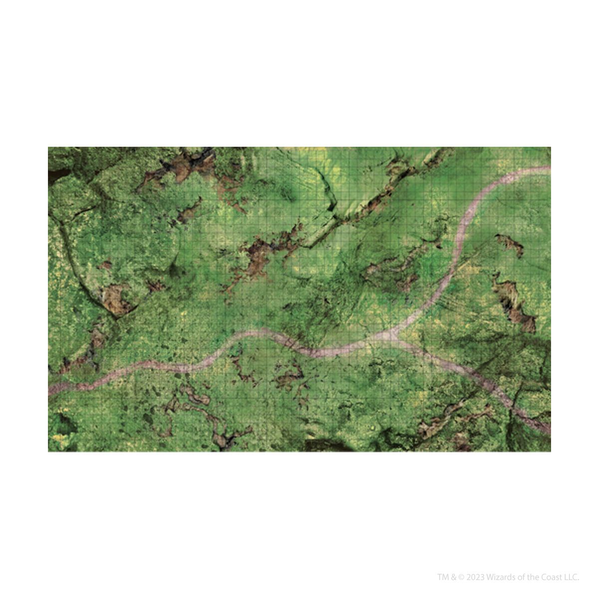 Dungeons &amp; Dragons Icons of the Realms Plains Battle Mat