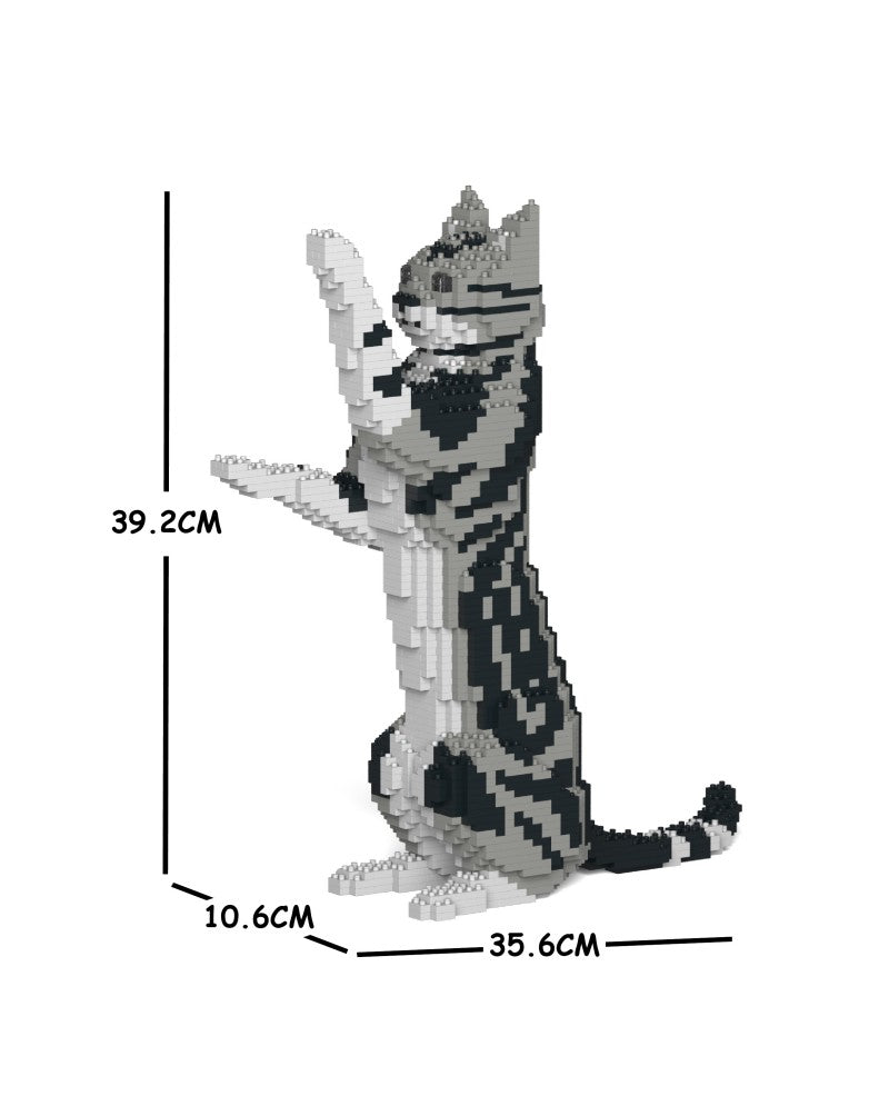 Jekca - American Shorthair Cat - Small (05S-M01)