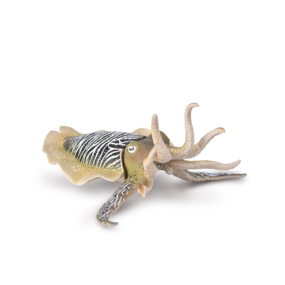 Collecta Common Cuttlefish (Xl)