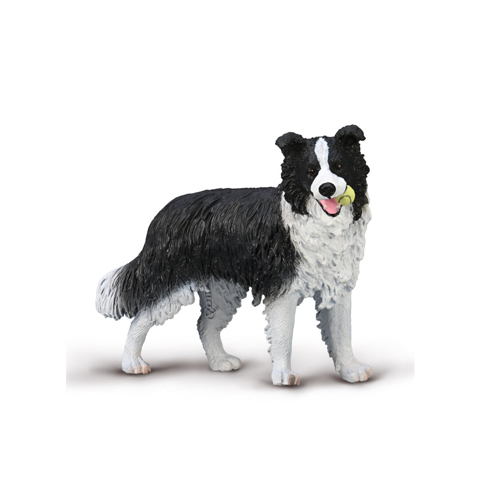 Collecta Border Collie (M)