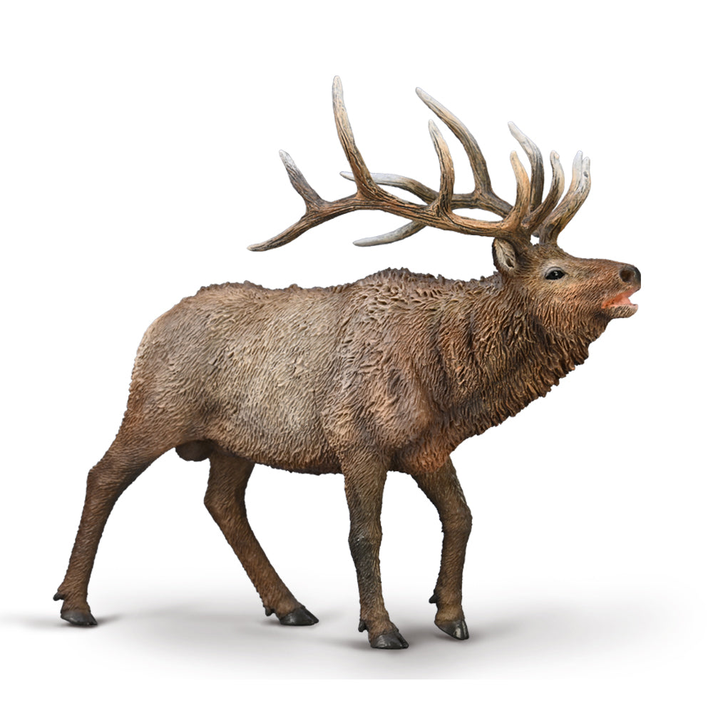 Collecta Elk - XL