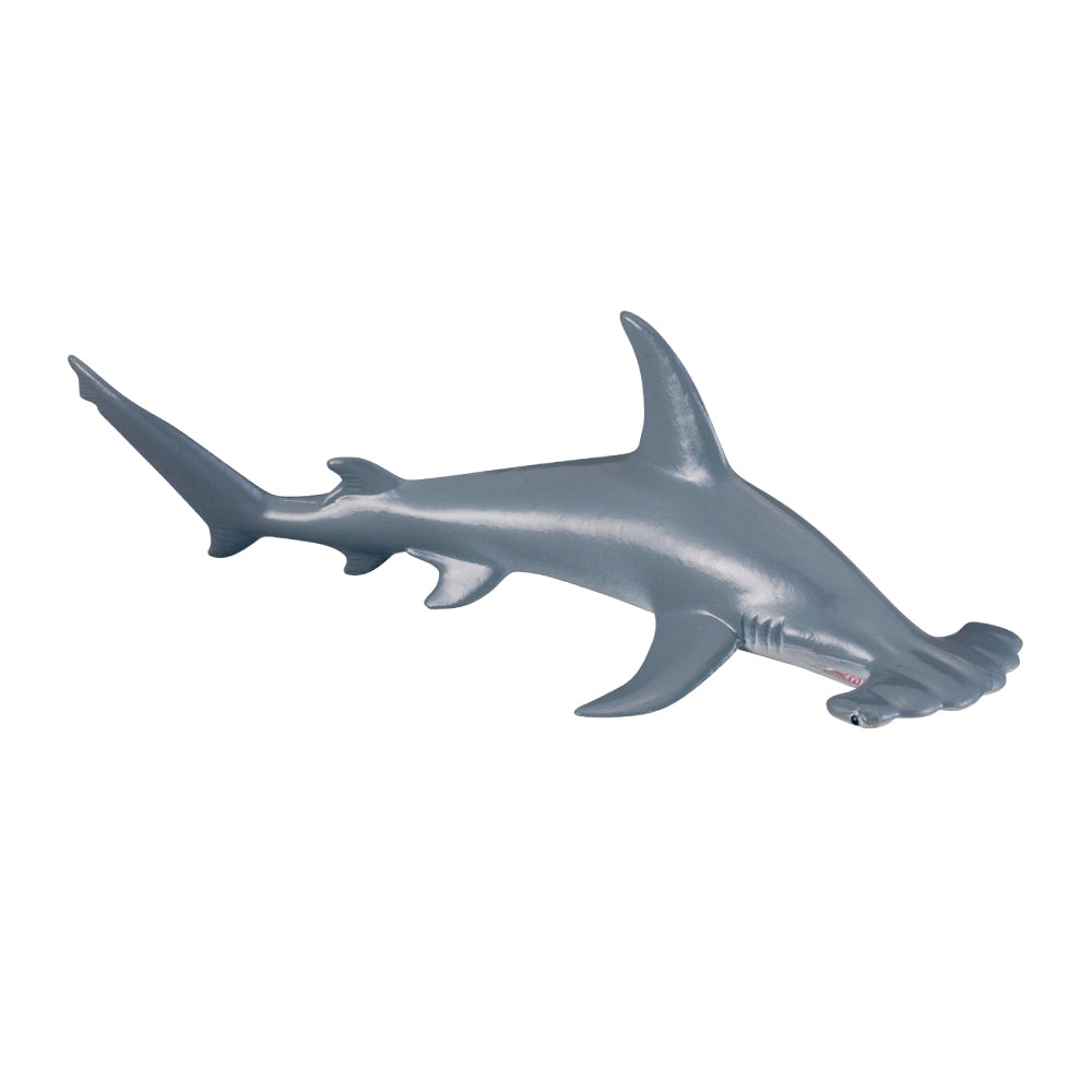 Collecta Scalloped Hammerhead Shark - M