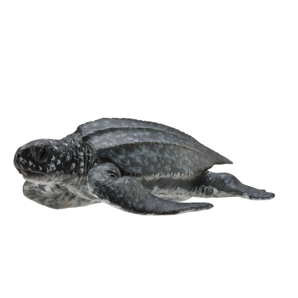 Collecta Leatherback Sea Turtle - M