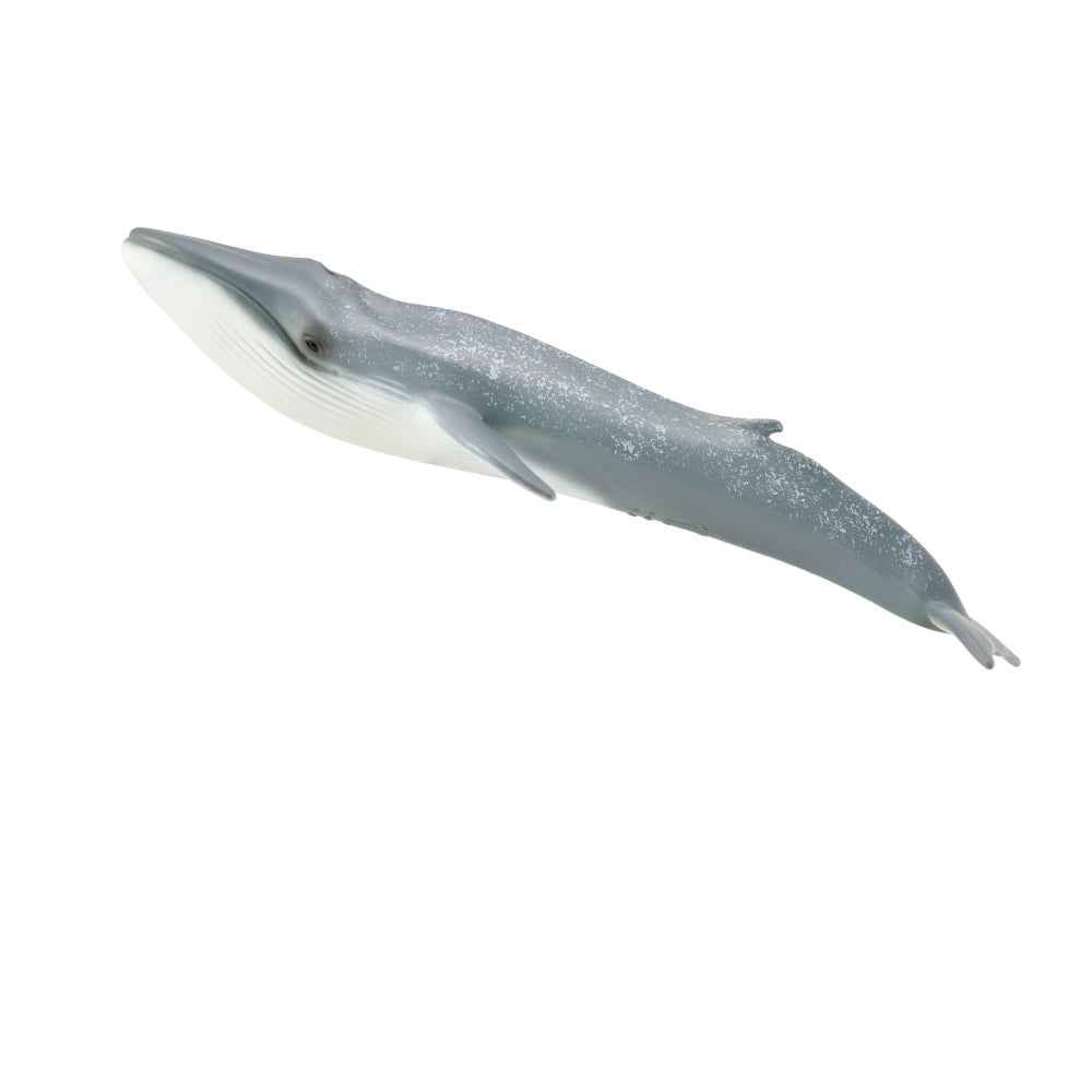 Collecta Blue Whale (Xl)