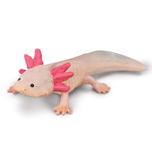 Collecta Axolotl (M)