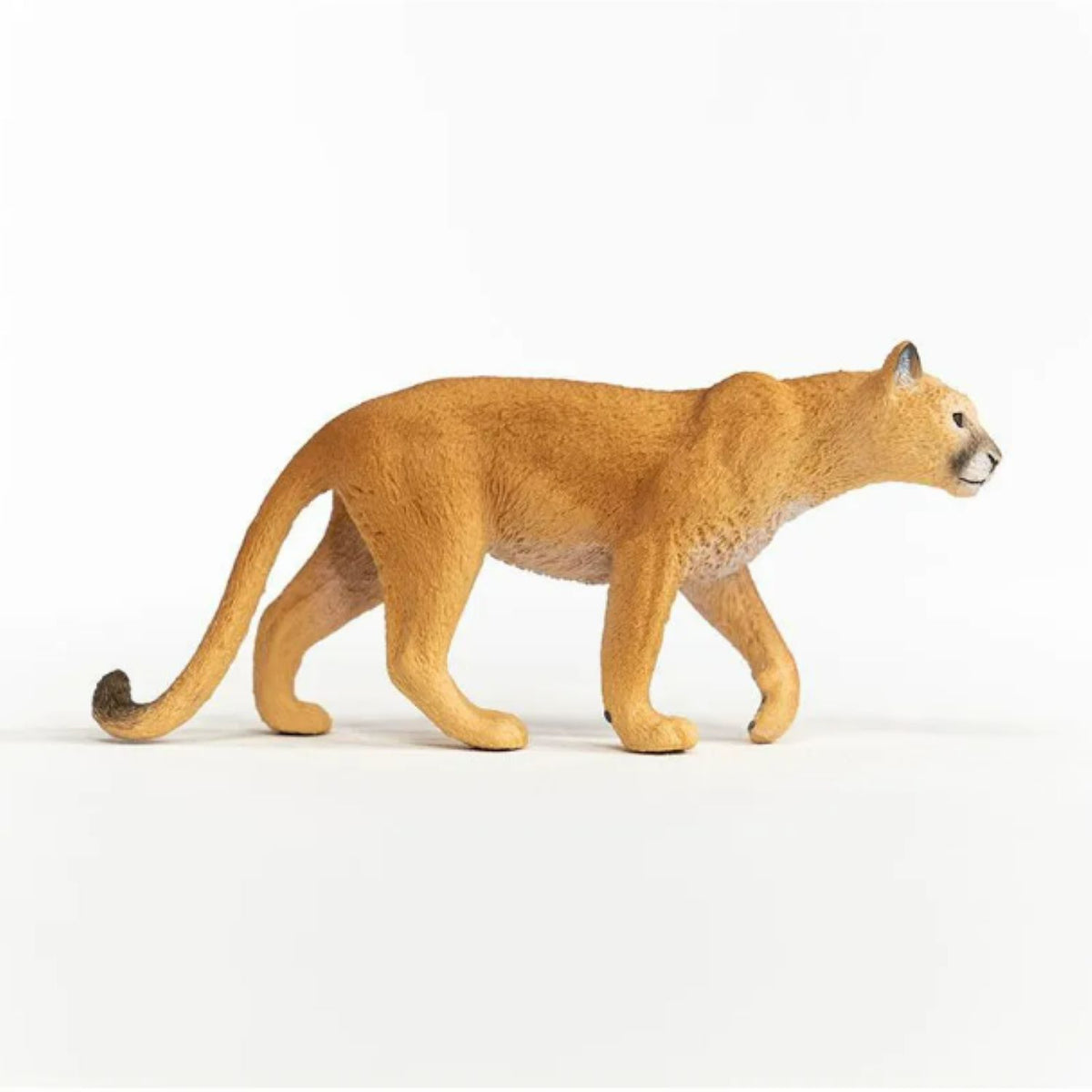 Schleich - Cougar