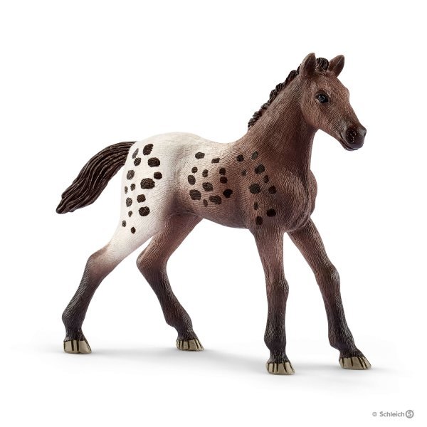 Schleich Appaloosa Foal