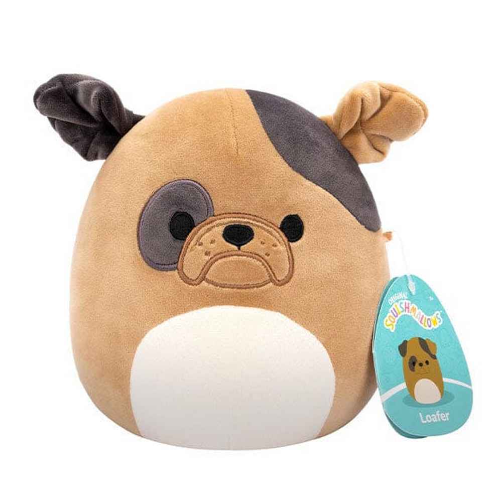 Squishmallows 7.5 inch Master Asst - Loafer