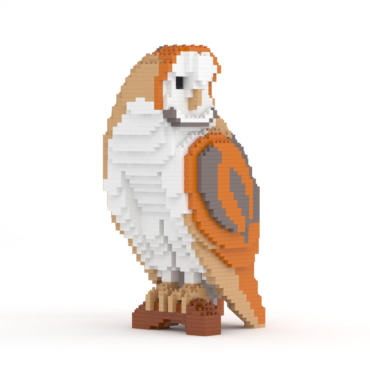 Barn Owl - 01S