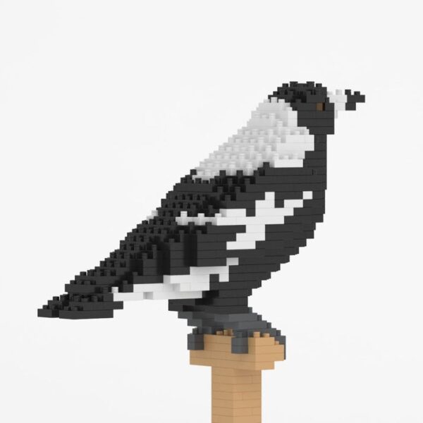 Jekca - Australian Magpie - Small - 01s