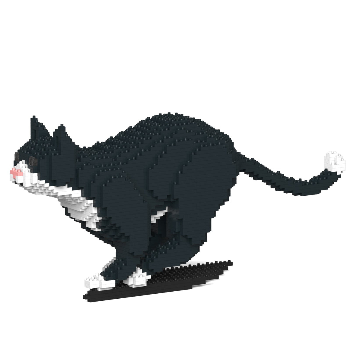 Jecka - Tuxedo Cat - Small (06S)