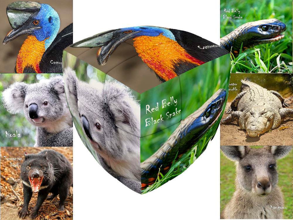 V-Cube Australian Animals 3X3 Pillow