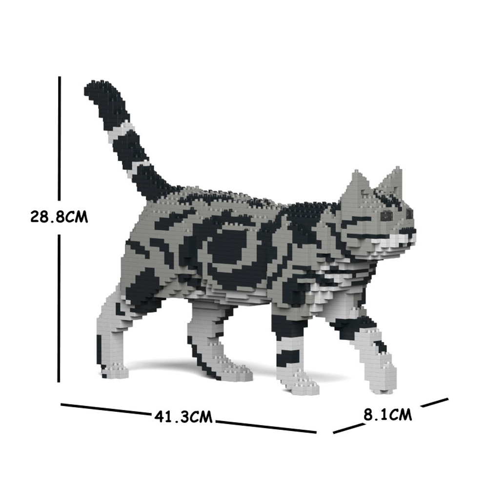 Jekca - American Shorthair Cat - Small (02S-M01)