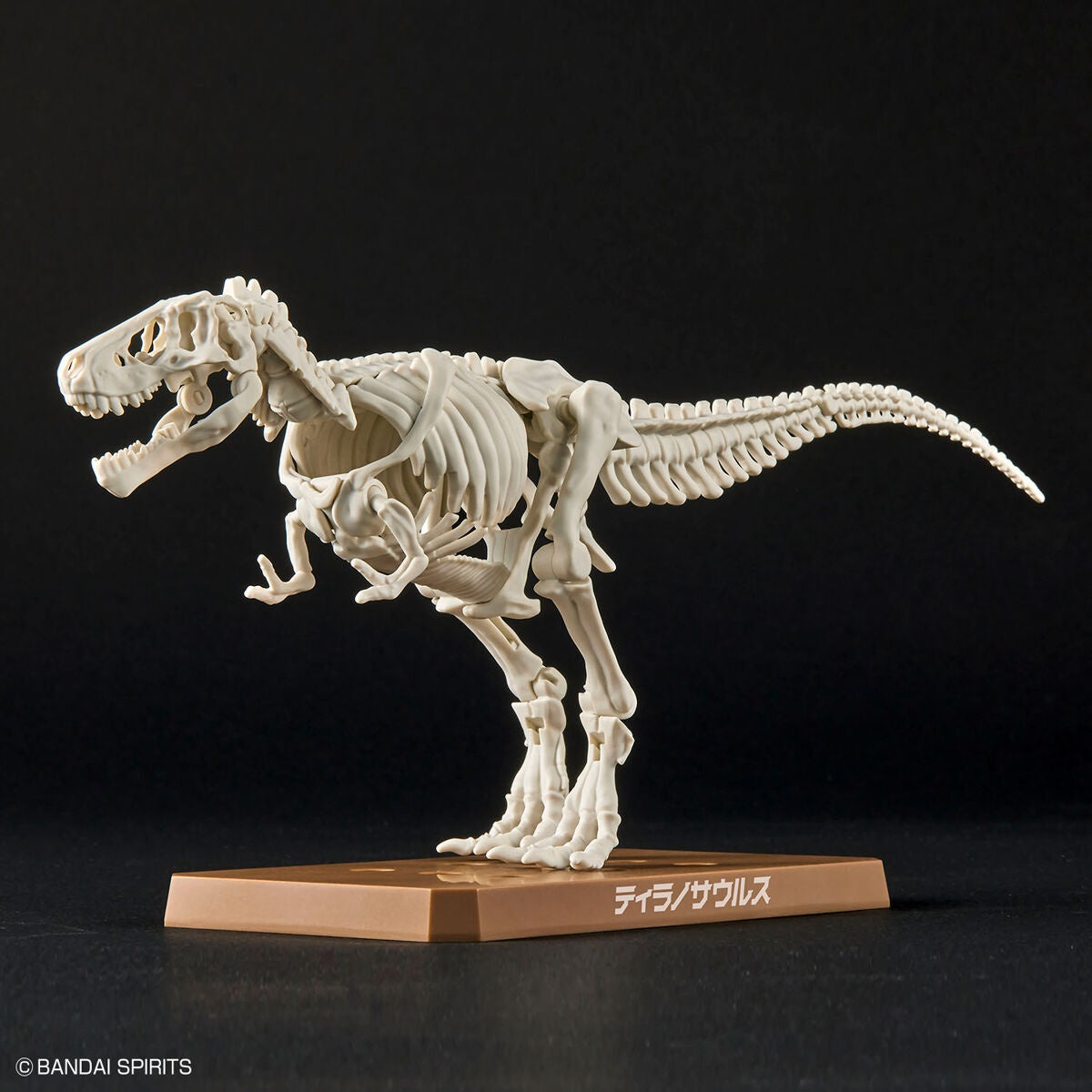 New Dinosaur Plastic Model Kit Brand Tyrannosaurus - (Tentative)