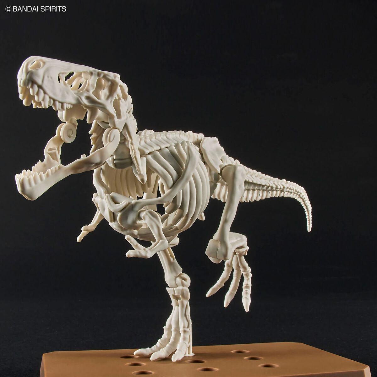 New Dinosaur Plastic Model Kit Brand Tyrannosaurus - (Tentative)