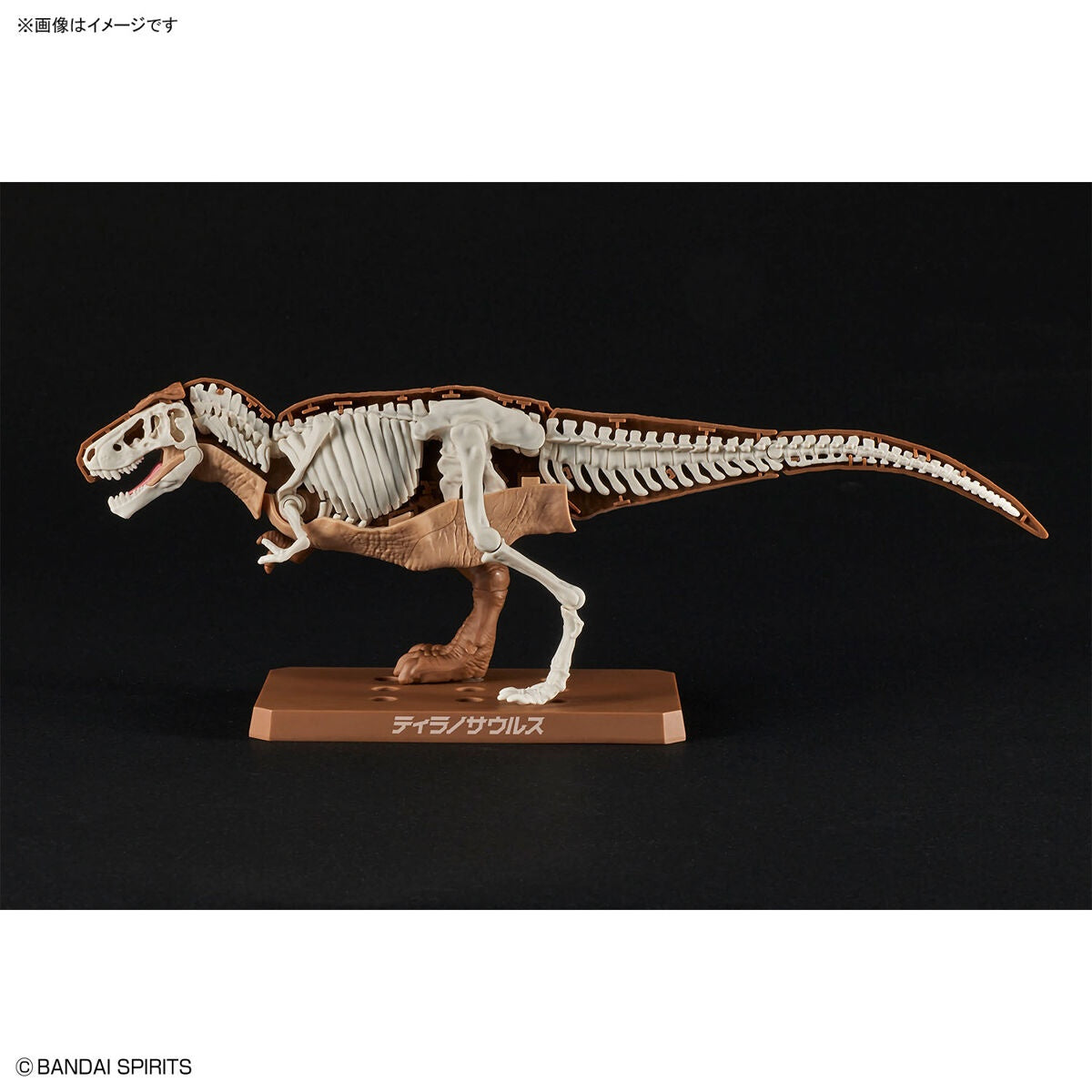 New Dinosaur Plastic Model Kit Brand Tyrannosaurus - (Tentative)