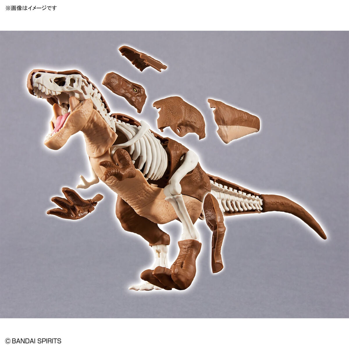 New Dinosaur Plastic Model Kit Brand Tyrannosaurus - (Tentative)