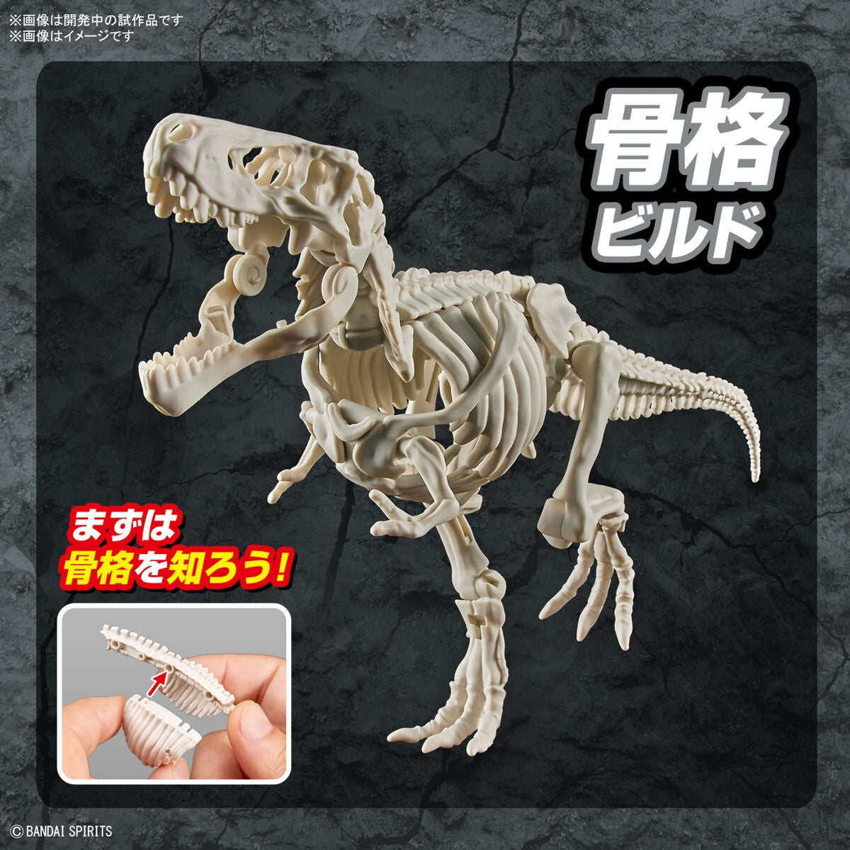 New Dinosaur Plastic Model Kit Brand Tyrannosaurus - (Tentative)