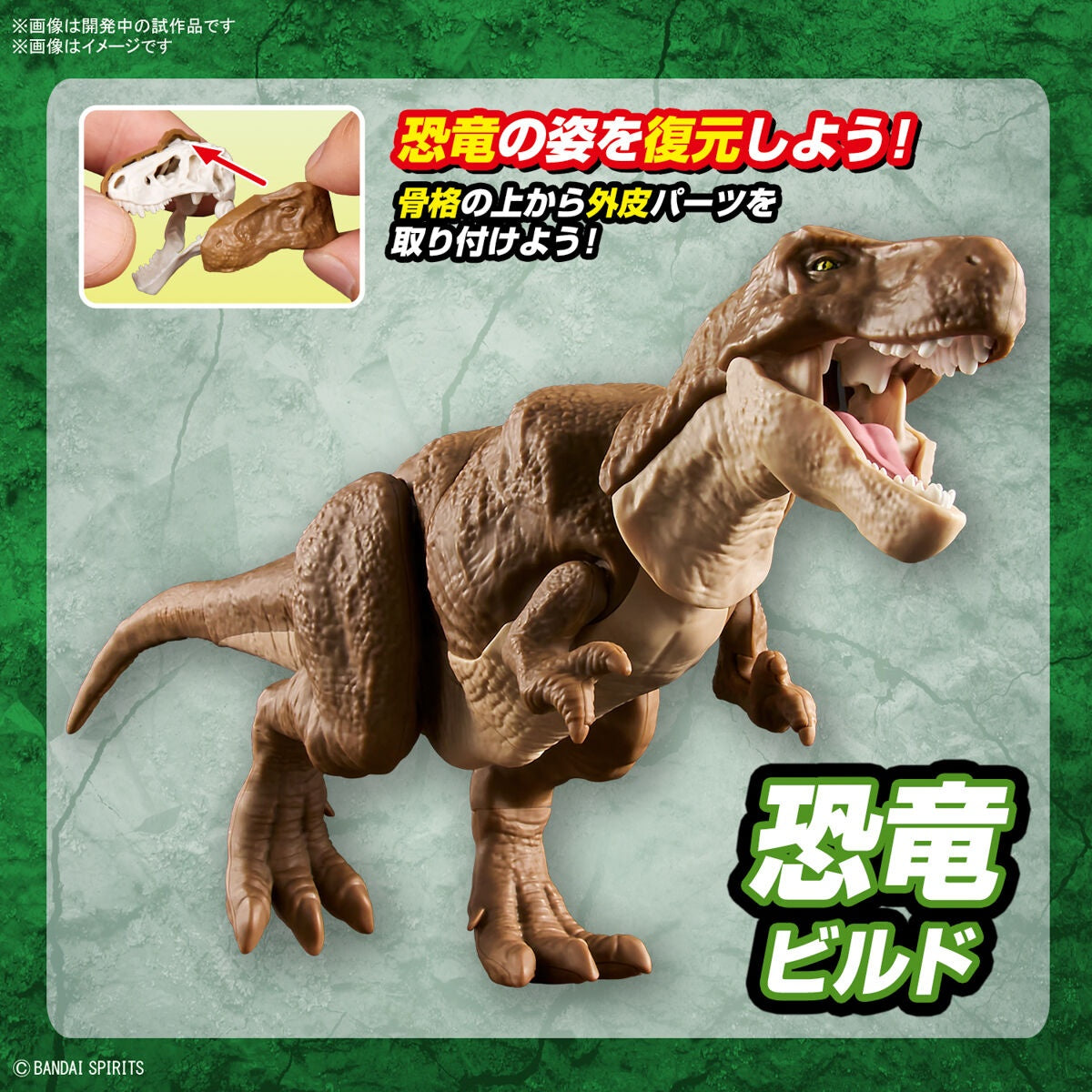 New Dinosaur Plastic Model Kit Brand Tyrannosaurus - (Tentative)