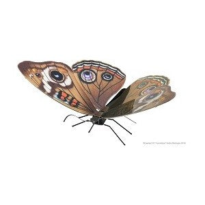 Metal Earth - Buckeye Butterfly