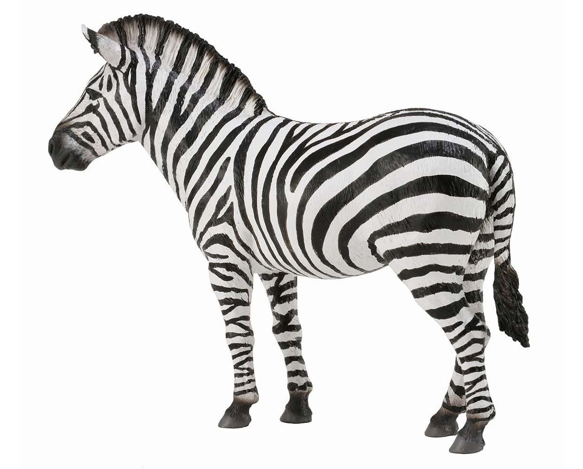 Collecta Common Zebra (L)