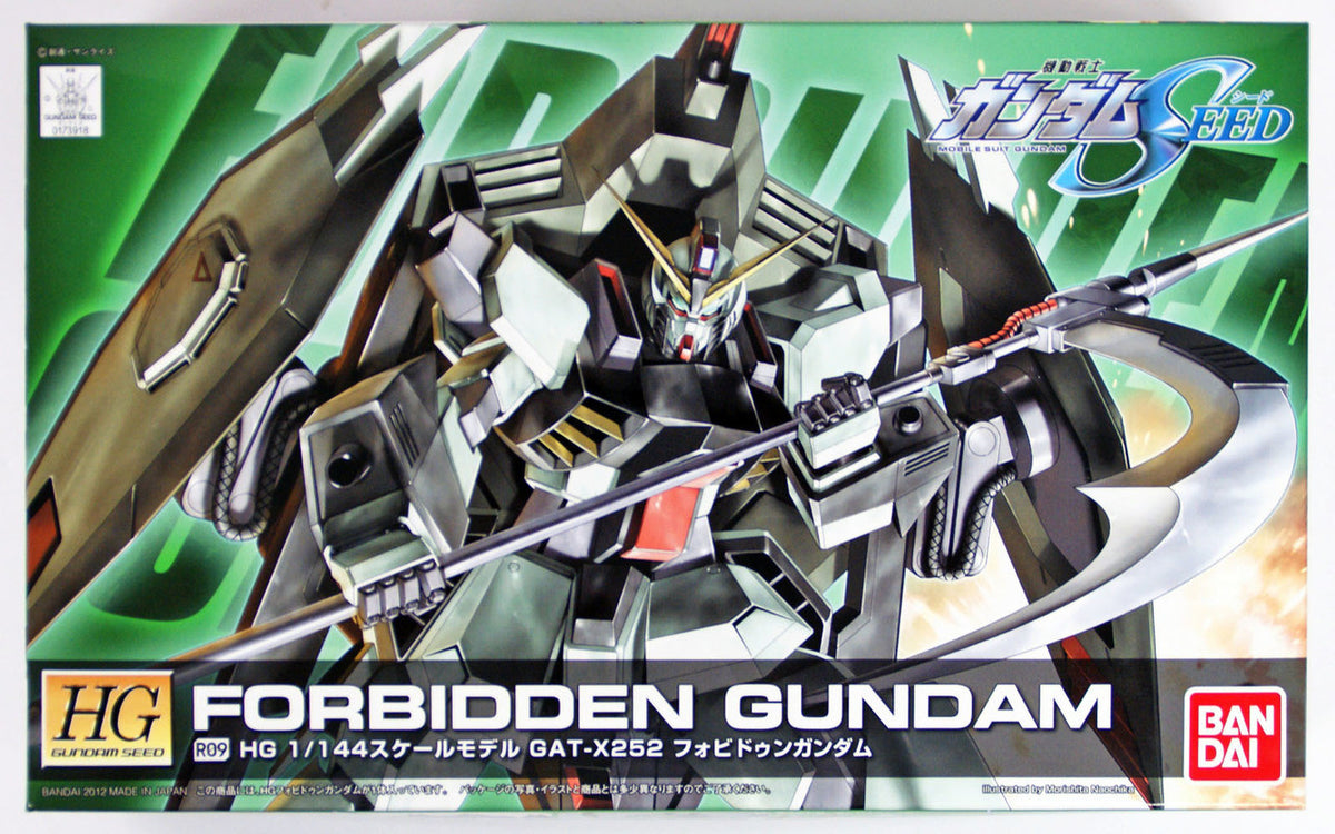 Hg 1/144 R09 Forbidden Gundam