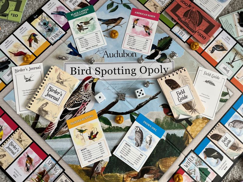 Audobon Bird Spotting-Opoly