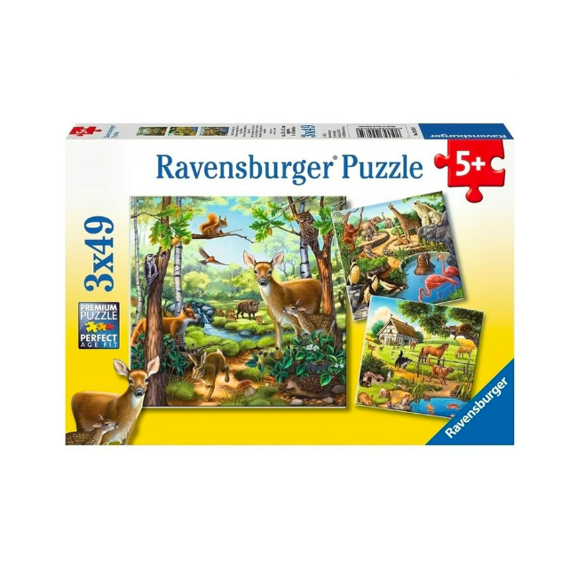 Ravensburger - Forest Zoo - 3x49 Piece Jigsaw