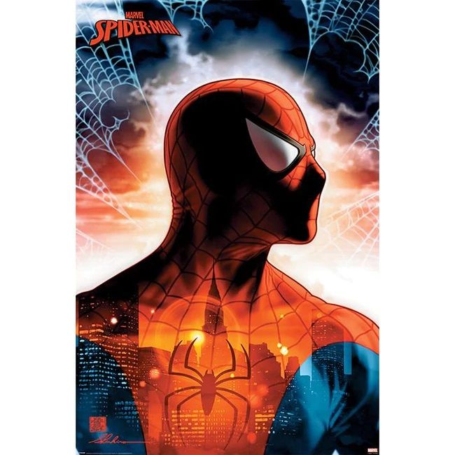Marvel Spider Man - Protector of the City