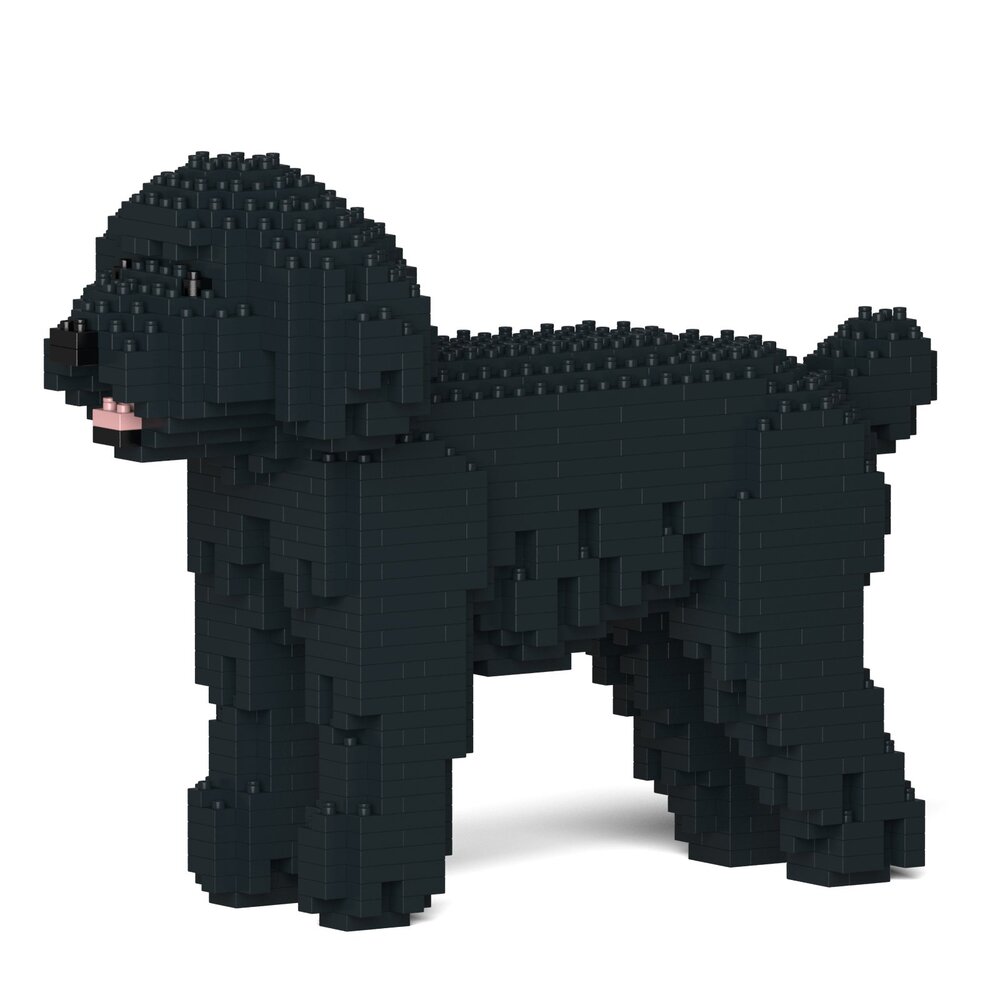Jekca - Toy Poodle 01-M02