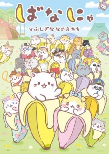 Bananya - and the Curious Bunch